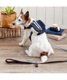 PET PARADISE ペットパラダイス ネイビー ライン入り リード ４Ｓ～３Ｓ 小型犬