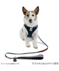 PET PARADISE ペットパラダイス ネイビー ライン入り リード ４Ｓ～３Ｓ 小型犬