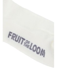 Green Parks ■ＦＲＵＩＴ　ＯＦ　ＴＨＥ　ＬＯＯＭ３Ｐラインロゴソックス