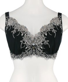 San-ai Resort（三愛水着楽園） 【エレガントコレクションPremium2312】単品ブラHIカップ