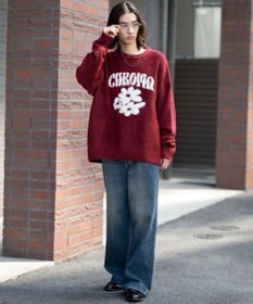 WEGO 【ユニセックス着用ITEM/MLサイズ展開/25年秋冬新作】ファジーグラフィックプルオーバー