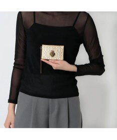 ANNA SUI ドリーミー 二面パスケース