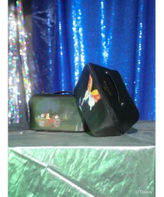 Green Parks ＦＡＮＴＡＳＩＡ／メイクポーチ