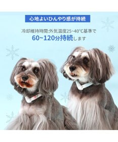 PET PARADISE ペットパラダイス 28℃クールリング SUO 《くま柄》 〔ＳＳ〕 小型犬