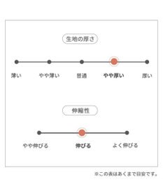 PET PARADISE ディズニー わんわん物語 背開きベスト 《レディー》小型犬