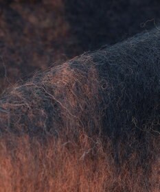 J.PRESS YORK STREET 【WOMEN】チェックマフラー