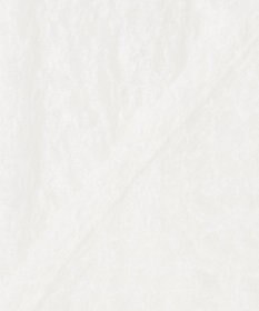 23区 L 【SLOW/一部店舗限定】リンクルレース シアー カットソー