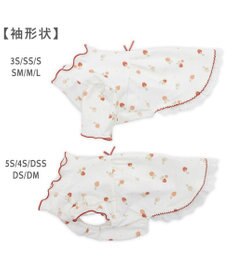 PET PARADISE ペットパラダイス ペティヒート天竺 Tシャツ 《いちご》 中型犬 大型犬