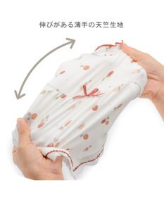 PET PARADISE ペットパラダイス ペティヒート天竺 Tシャツ 《いちご》 中型犬 大型犬