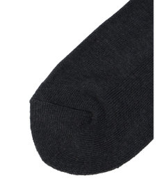 Green Parks ■ＦＲＵＩＴ　ＯＦ　ＴＨＥ　ＬＯＯＭ３Ｐラインロゴソックス