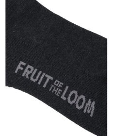Green Parks ■ＦＲＵＩＴ　ＯＦ　ＴＨＥ　ＬＯＯＭ３Ｐラインロゴソックス