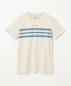 J.PRESS KIDS 【140-170cm】ボーダープリント Ｔシャツ