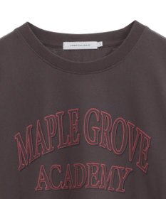 AMERICAN HOLIC バイオウォッシュ加工ロゴＴシャツ