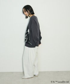 Green Parks ＳＴＡＲ　ＷＡＲＳ／ダース・ベイダーニット