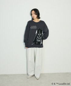 Green Parks ＳＴＡＲ　ＷＡＲＳ／ダース・ベイダーニット