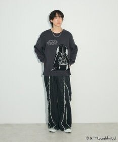 Green Parks ＳＴＡＲ　ＷＡＲＳ／ダース・ベイダーニット