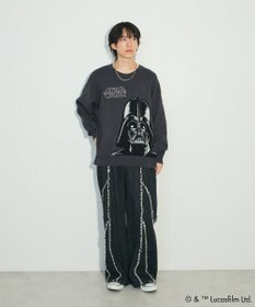 Green Parks ＳＴＡＲ　ＷＡＲＳ／ダース・ベイダーニット