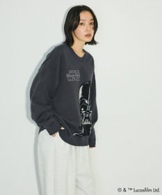 Green Parks ＳＴＡＲ　ＷＡＲＳ／ダース・ベイダーニット