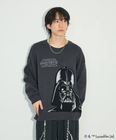 Green Parks ＳＴＡＲ　ＷＡＲＳ／ダース・ベイダーニット