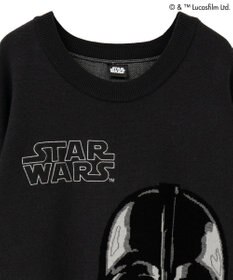 Green Parks ＳＴＡＲ　ＷＡＲＳ／ダース・ベイダーニット