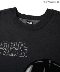 Green Parks ＳＴＡＲ　ＷＡＲＳ／ダース・ベイダーニット