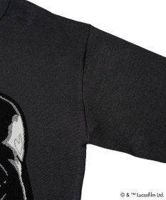 Green Parks ＳＴＡＲ　ＷＡＲＳ／ダース・ベイダーニット