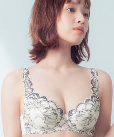 Wing Wing Lesiage 【3000シリーズ】 PB3000 ウイング／ワコール