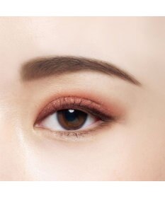 Chacott Cosmetics フェイスカラーパレット【515】ローマン テラコッタ