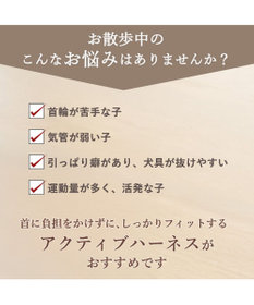 PET PARADISE リサとガスパール アクティブハーネス 《三角柄》 ３Ｓ 小型犬