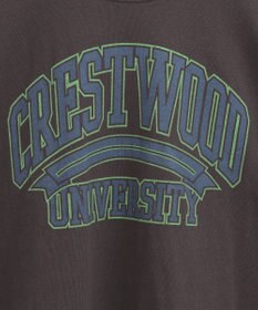 AMERICAN HOLIC バイオウォッシュ加工ロゴＴシャツ