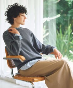 ANY L エニィファンクションハイネックブラウス