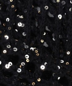 BEIGE， 【洗える】BARQUIER / スパンコールニット