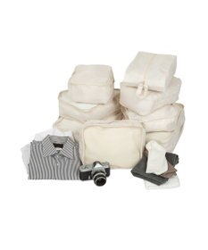 ACE BAGS & LUGGAGE ace. ウィーベルＺ スーツケース 91/104L 09213 エース