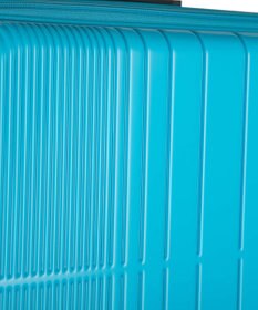 ACE BAGS & LUGGAGE ace. ディフェレンス スーツケース 88L 05724