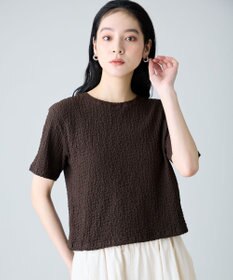 ANY L レースショート丈Tシャツ