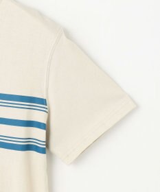 J.PRESS KIDS 【140-170cm】ボーダープリント Ｔシャツ