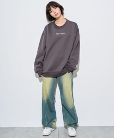 WEGO 【ユニセックス着用ITEM】アーチバックロゴグラフィックプルオーバー