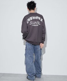 WEGO 【ユニセックス着用ITEM】アーチバックロゴグラフィックプルオーバー