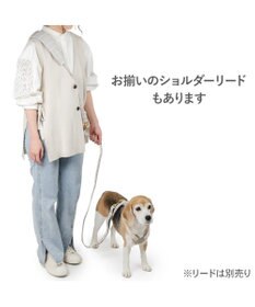 PET PARADISE ペットパラダイス くまちゃん アクティブハーネス ＳＭ 中型犬