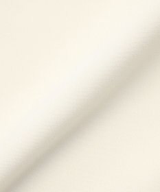 BEIGE， RUE / ドライタッチイージーIラインスカート