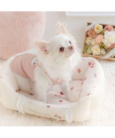 PET PARADISE ペットパラダイス カドラー 《花苺柄》 Ｓ