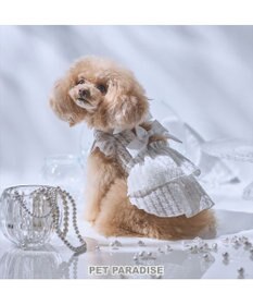 PET PARADISE cherircouture シースルーリボン ワンピース 小型犬