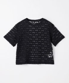 ANY L レースショート丈Tシャツ