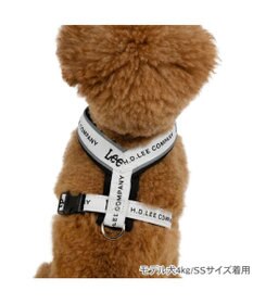 PET PARADISE Lee ロゴ アクティブ ハーネス Ｓ 小型犬