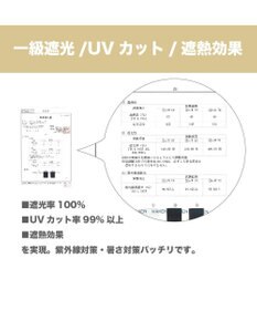 MOONBAT 【大きめ】晴雨兼用日傘 折りたたみ傘 無地／一級遮光 遮熱 UV ワイド54cm