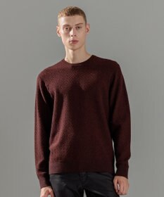 JOSEPH HOMME 【イージーケア】 ヴィスコースリンクス　クルーネックニット