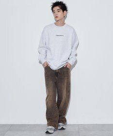 WEGO 【ユニセックス着用ITEM】アーチバックロゴグラフィックプルオーバー