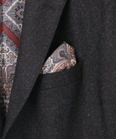 JOSEPH ABBOUD 【キングサイズ・ソフト/JAPANファブリック/LIBERTY柄裏地】ムリネフランネル ジャケット