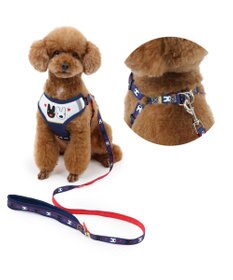 PET PARADISE リサとガスパール ハーネス＆リード ＳＳ 《ハート柄》 小型犬
