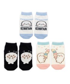 Mother garden ネット店 しろたん 靴下 3足セット 2026春 13～16cm